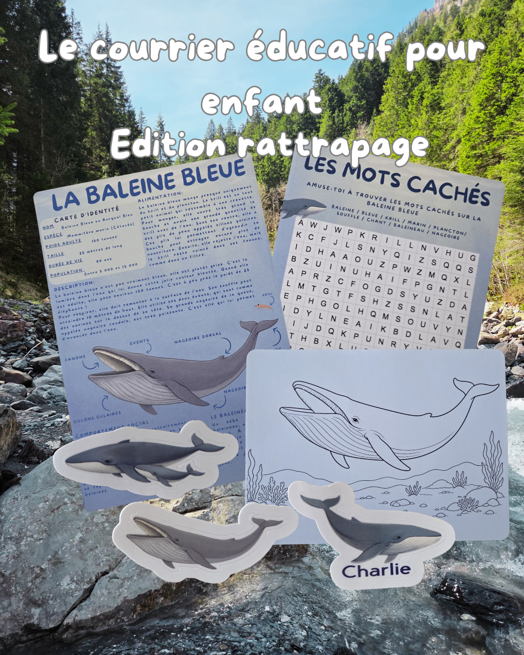Courrier pour enfant / La baleine bleu <édition rattrapage>