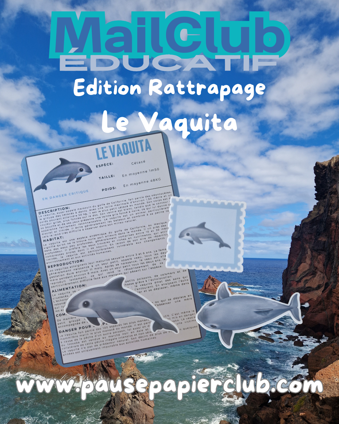 Courrier pour adulte / Le Vaquita <édition rattrapage>