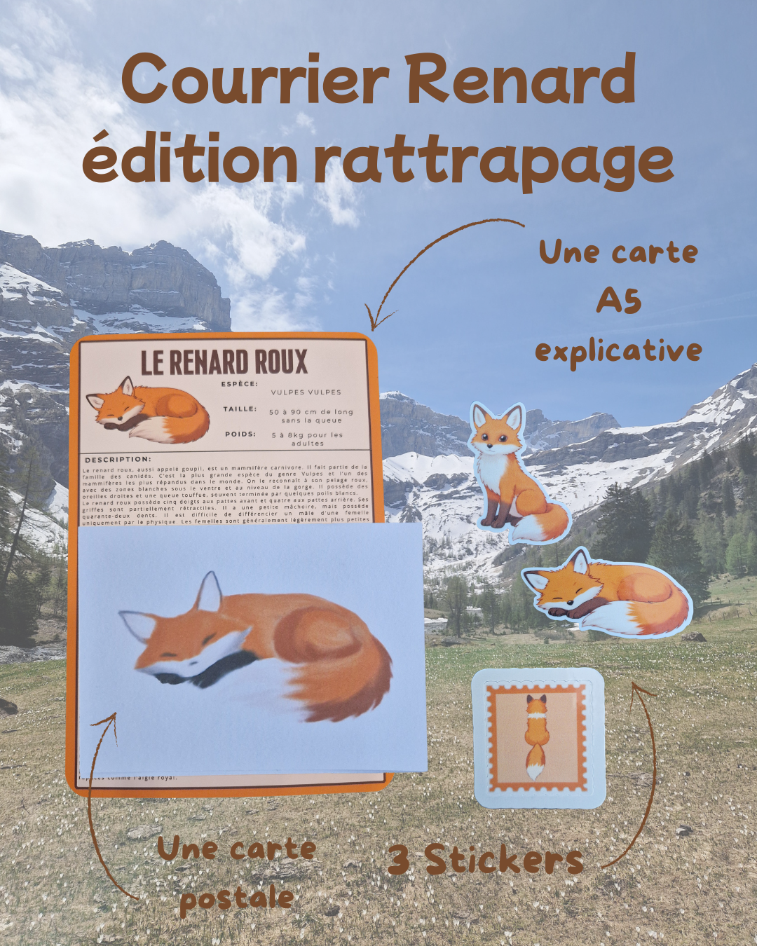 Courrier pour adulte / Le renard roux <édition rattrapage>